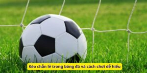 Kèo chẵn lẻ trong bóng đá và cách chơi dễ hiểu